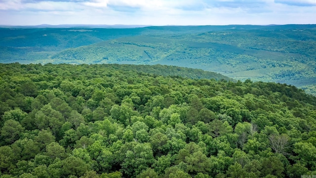 000 Mathis, Leslie, AR 72645