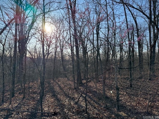 1169 Liberty Rd, Leslie, AR 72645 - view of local wilderness