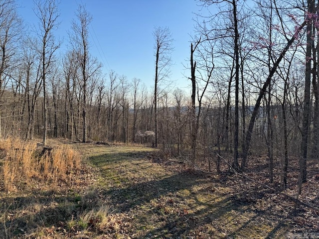 1169 Liberty Rd, Leslie, AR 72645 - view of tree filled area