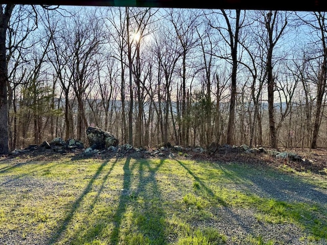 1169 Liberty Rd, Leslie, AR 72645 - view of yard