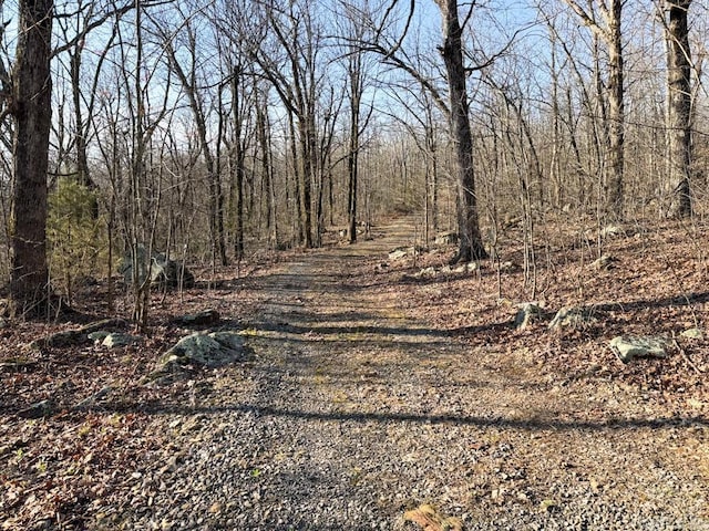 1169 Liberty Rd, Leslie, AR 72645 - view of road