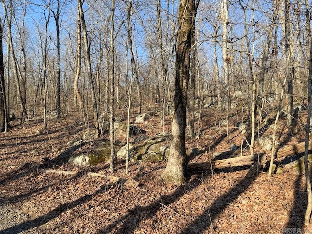 1169 Liberty Rd, Leslie, AR 72645 - view of nature