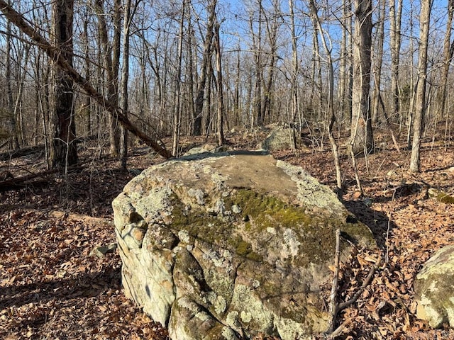 1169 Liberty Rd, Leslie, AR 72645 - view of local wilderness
