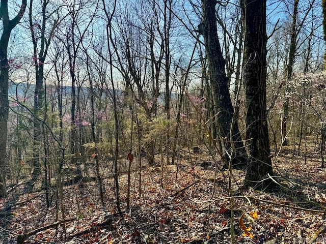 1169 Liberty Rd, Leslie, AR 72645 - view of woods