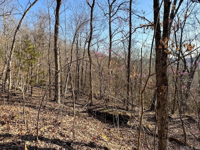 1169 Liberty Rd, Leslie, AR 72645 - view of local wilderness