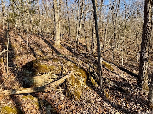 1169 Liberty Rd, Leslie, AR 72645 - view of local wilderness