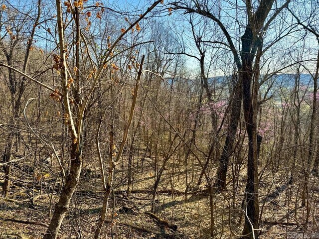 1169 Liberty Rd, Leslie, AR 72645 - view of woods