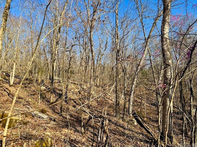 1169 Liberty Rd, Leslie, AR 72645 - view of undeveloped land
