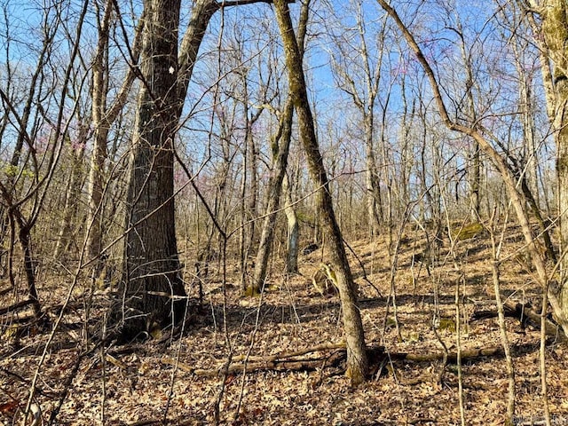 1169 Liberty Rd, Leslie, AR 72645 - view of undeveloped land