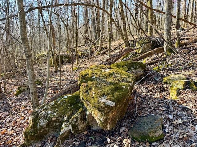 1169 Liberty Rd, Leslie, AR 72645 - view of undeveloped land