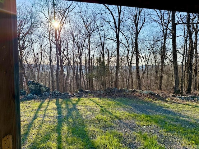 1169 Liberty Rd, Leslie, AR 72645 - view of green lawn