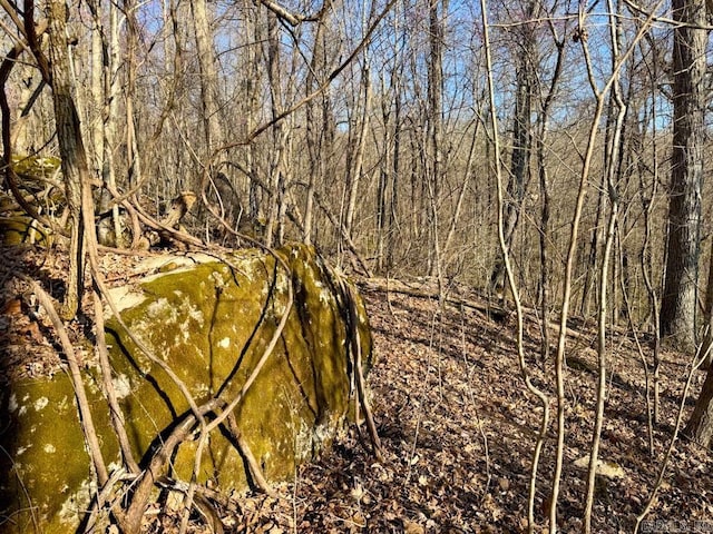 1169 Liberty Rd, Leslie, AR 72645 - view of local wilderness