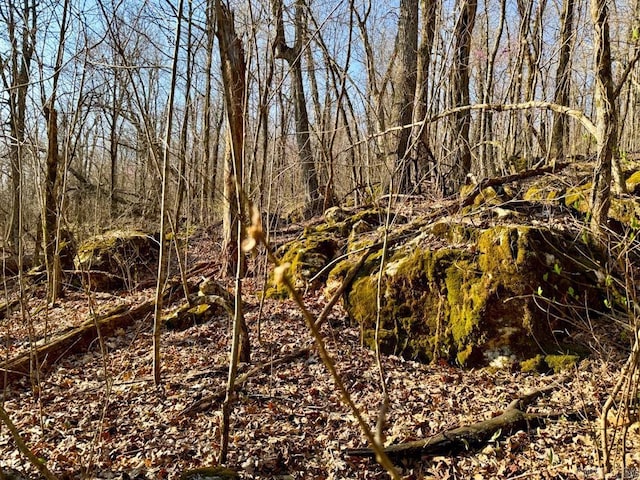 1169 Liberty Rd, Leslie, AR 72645 - view of local wilderness