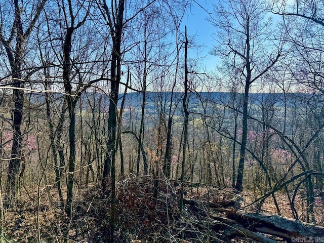1169 Liberty Rd, Leslie, AR 72645 - water view featuring a heavily wooded area