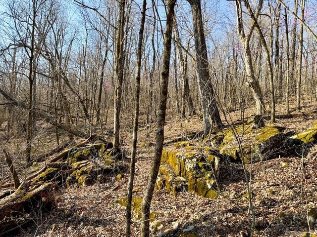 1169 Liberty Rd, Leslie, AR 72645 - view of local wilderness