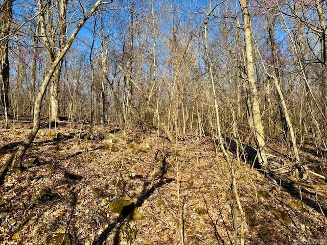 1169 Liberty Rd, Leslie, AR 72645 - view of nature