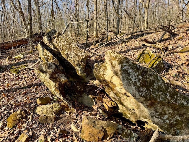 1169 Liberty Rd, Leslie, AR 72645 - view of local wilderness