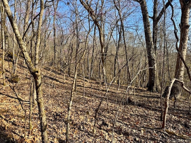 1169 Liberty Rd, Leslie, AR 72645 - view of local wilderness
