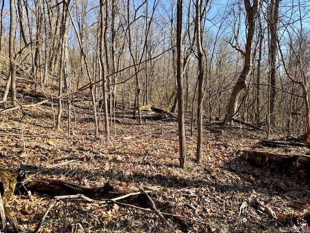 1169 Liberty Rd, Leslie, AR 72645 - view of local wilderness