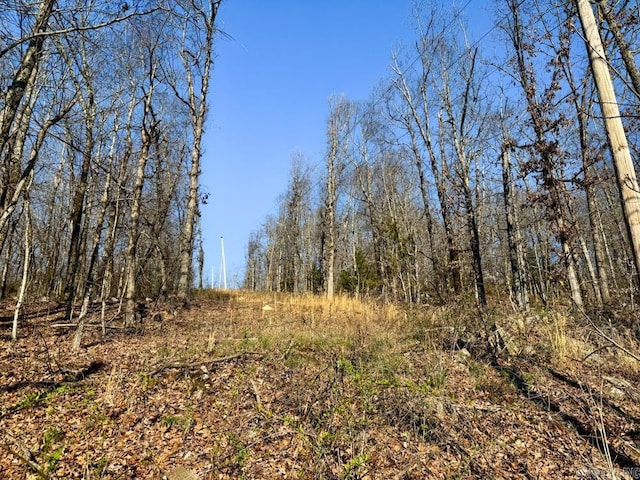 1169 Liberty Rd, Leslie, AR 72645 - view of local wilderness