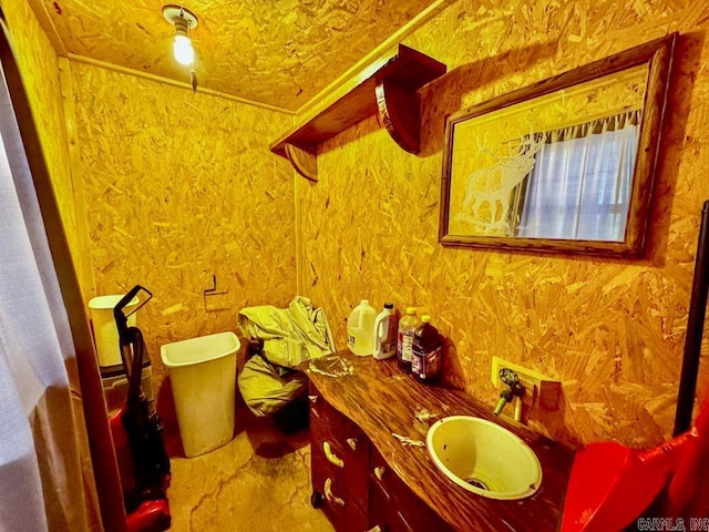 1169 Liberty Rd, Leslie, AR 72645 - bathroom with vanity