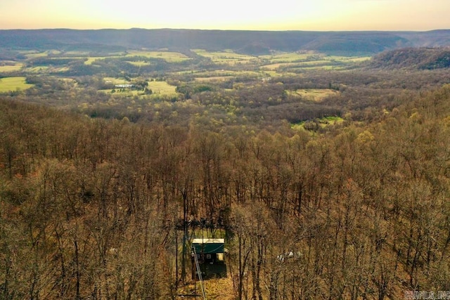 1169 Liberty Rd, Leslie, AR 72645 - drone / aerial view of a heavily wooded area