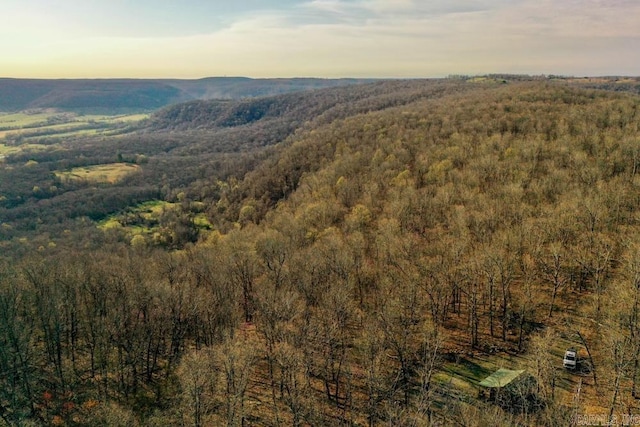 1169 Liberty Rd, Leslie, AR 72645 - aerial view at dusk of a wooded view