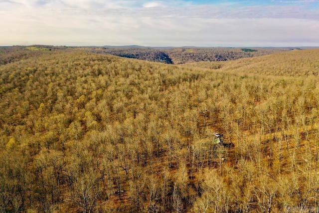 1169 Liberty Rd, Leslie, AR 72645 - mountain view