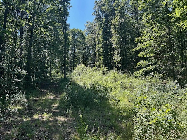 Timber Grove Rd, Clinton, AR 72031