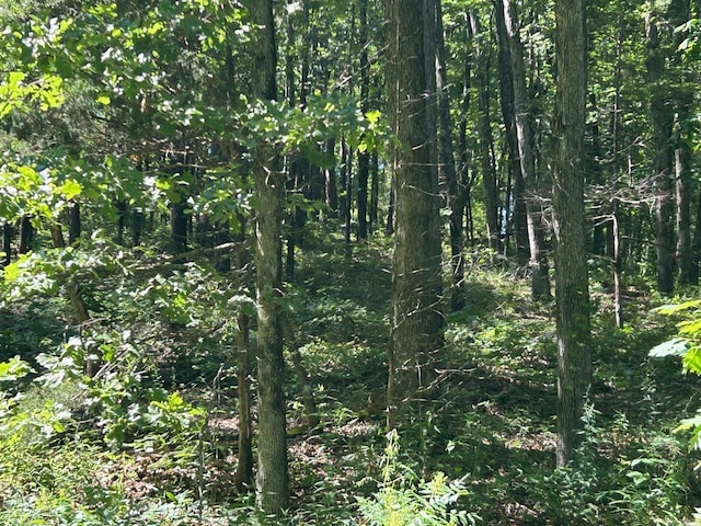 Timber Grove Rd, Clinton, AR 72031