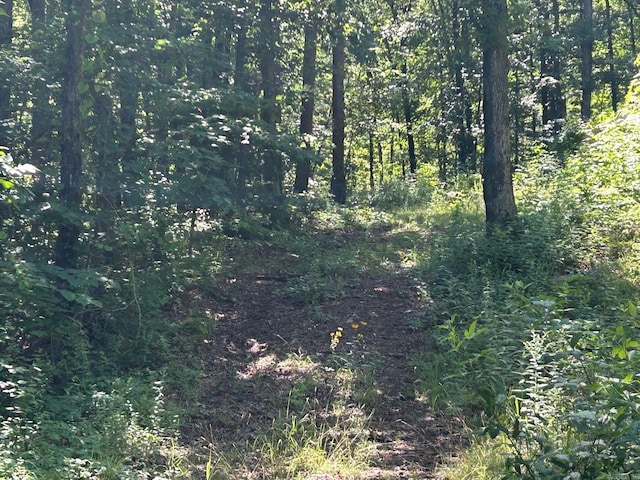 Timber Grove Rd, Clinton, AR 72031