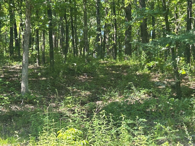Timber Grove Rd, Clinton, AR 72031