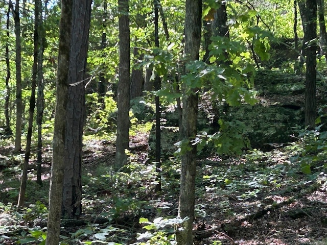 Timber Grove Rd, Clinton, AR 72031