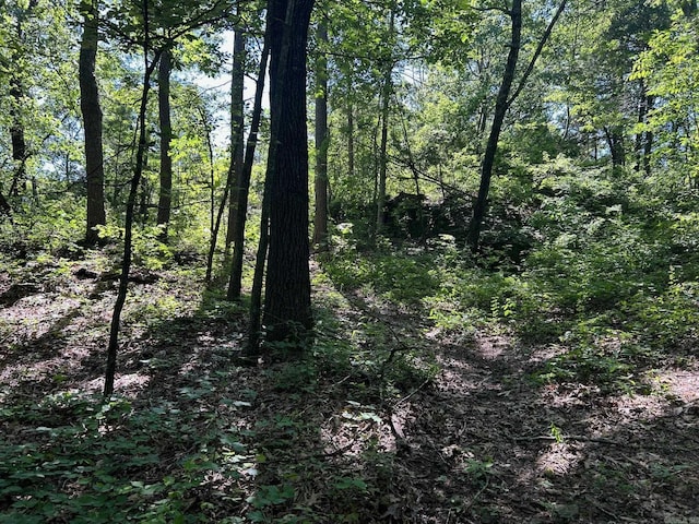 Timber Grove Rd, Clinton, AR 72031