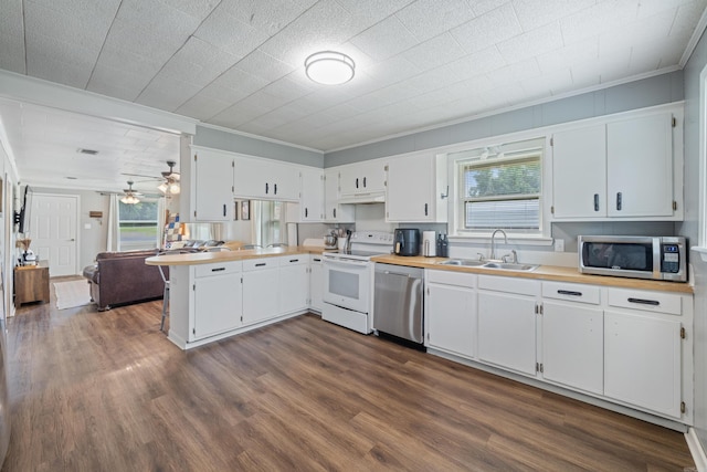 508 W Bell, Sheridan, AR 72150 - kitchen with appliances with stainless steel finishes, a sink, crown molding, a peninsula, and healthy amount of natural light