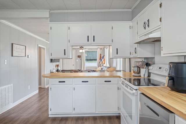 508 W Bell, Sheridan, AR 72150 - kitchen with white range with electric stovetop, under cabinet range hood, crown molding, and white cabinetry