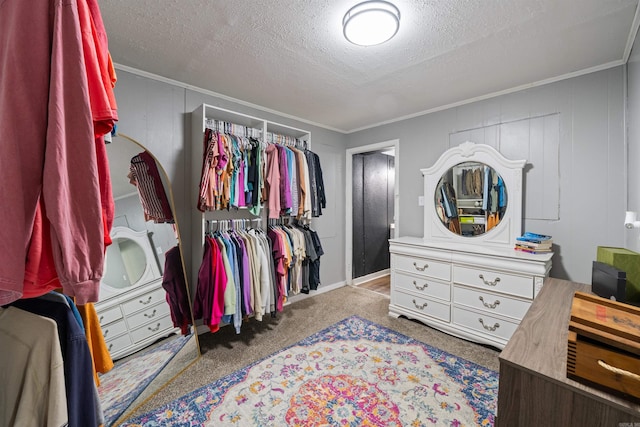 508 W Bell, Sheridan, AR 72150 - walk in closet featuring carpet floors