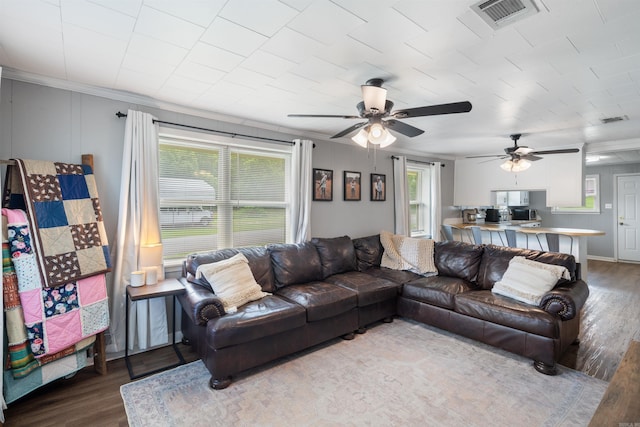 508 W Bell, Sheridan, AR 72150 - living area with wood finished floors, plenty of natural light, a ceiling fan, and ornamental molding