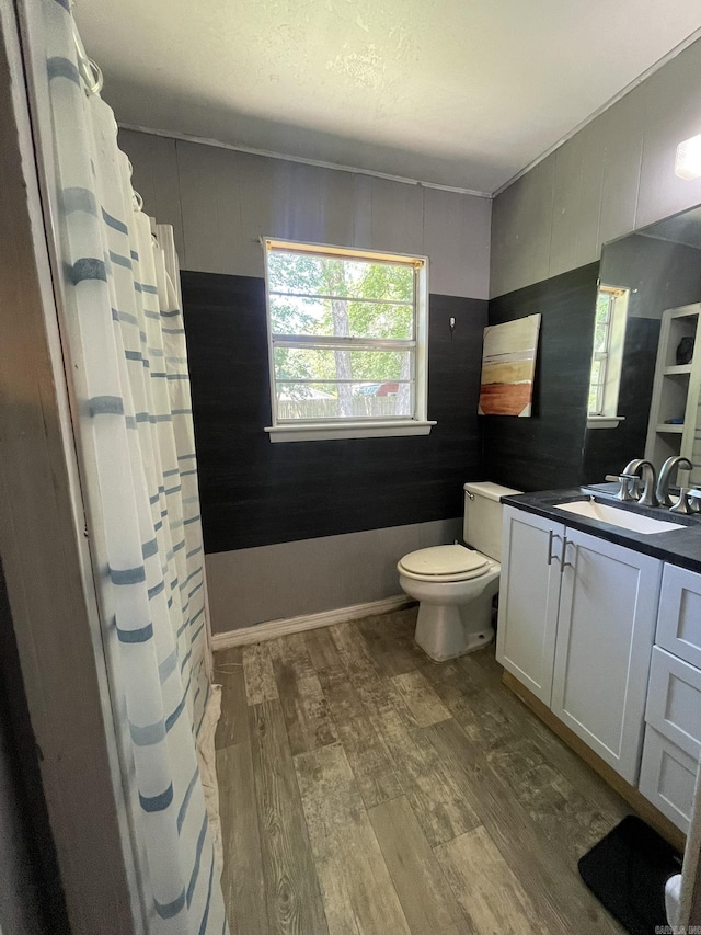 210 Gann St, Mena, AR 71953 - full bathroom featuring toilet, wood finished floors, vanity, and curtained shower