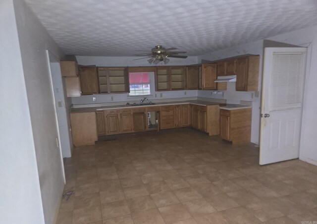 1851 W Clay, Piggott, AR 72454 - kitchen with ceiling fan, under cabinet range hood, a sink, and light countertops