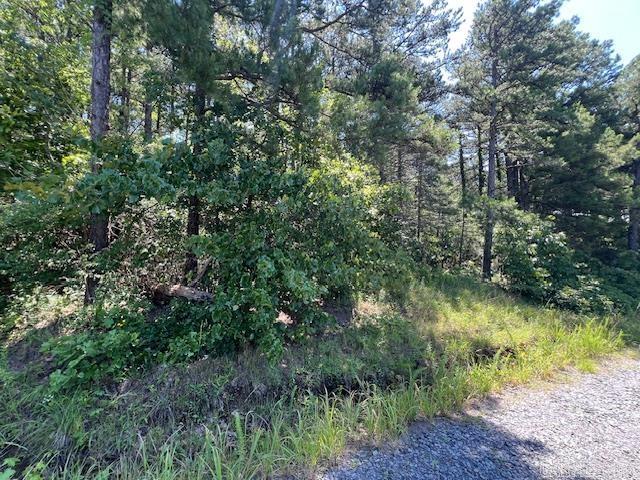 APPROX53 Fredrick Ln, Heber Springs, AR 72543
