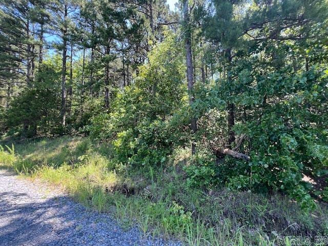 APPROX53 Fredrick Ln, Heber Springs, AR 72543