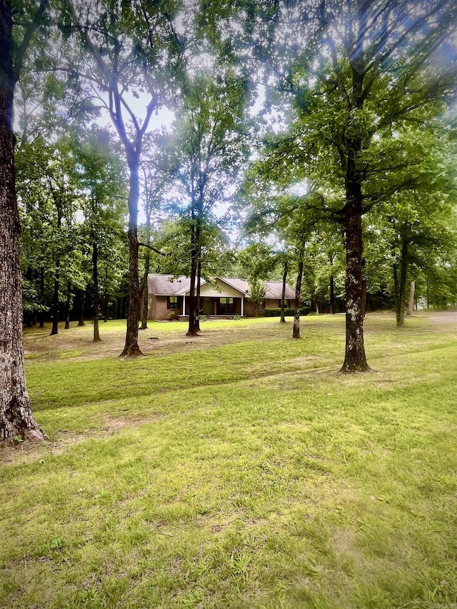 88 Cobblestone Rd, Plumerville, AR 72127 - view of grassy yard