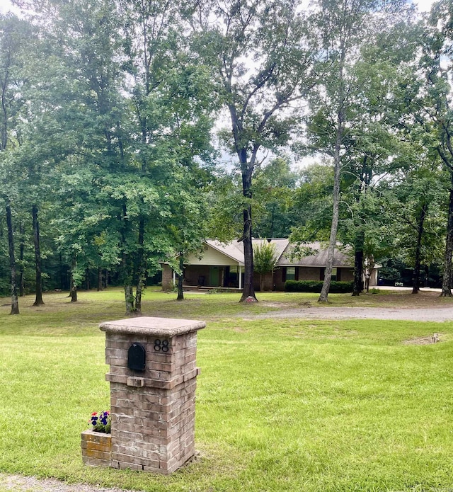 88 Cobblestone Rd, Plumerville, AR 72127 - view of green lawn
