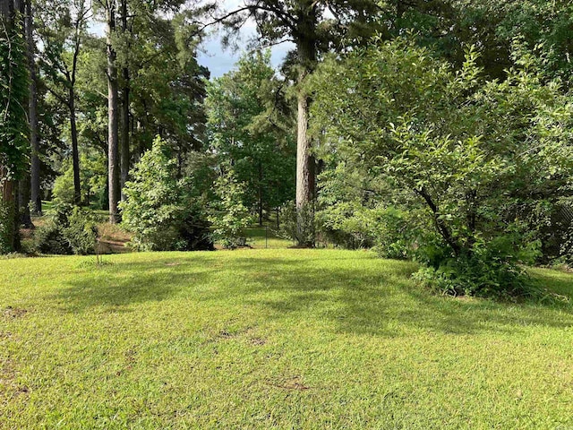 816 W 36th Ave, Pine Bluff, AR 71603 - view of grassy yard