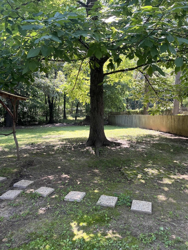 404 Rogers, Jonesboro, AR 72401 - view of yard