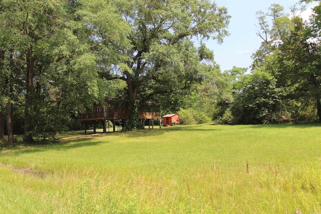 803 Reeder Rd, Leola, AR 72084 - view of grassy yard
