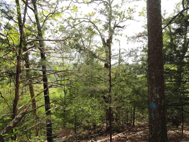935 Standing Alone Rd, Leslie, AR 72645