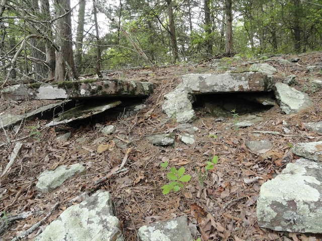 935 Standing Alone Rd, Leslie, AR 72645