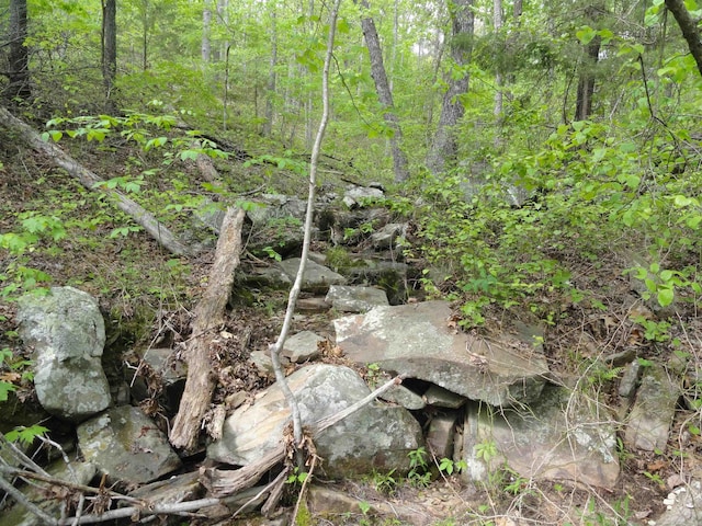 935 Standing Alone Rd, Leslie, AR 72645